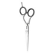 Jaguar Silver Line CJ4 Plus 5.5 Offset Professional Shear