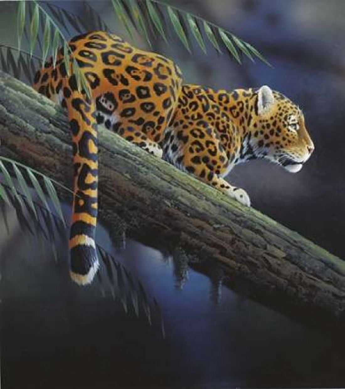 Jaguar in tree Canvas Art - Jan Weenink (24 x 24)
