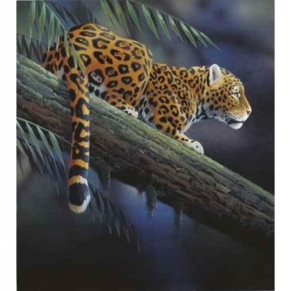 Jaguar in tree Poster Print by Jan Weenink