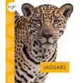 thumbnail image 1 of Pre-Owned Jaguars (Paperback) 1681525763 9781681525761, 1 of 1