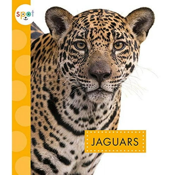 Pre-Owned Jaguars (Paperback) 1681525763 9781681525761