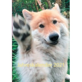 Jahreskalender 2021 German Edition Paperback 3752611154 9783752611151 LILLI Von Eurasien