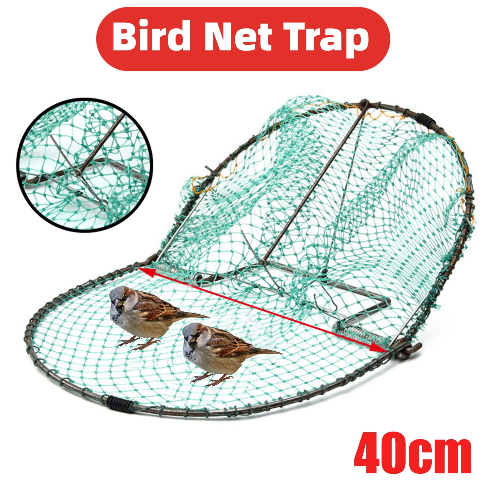 JahyShow Live Animal Trap Humane Bird Trap Cage for Pigeon Sparrow