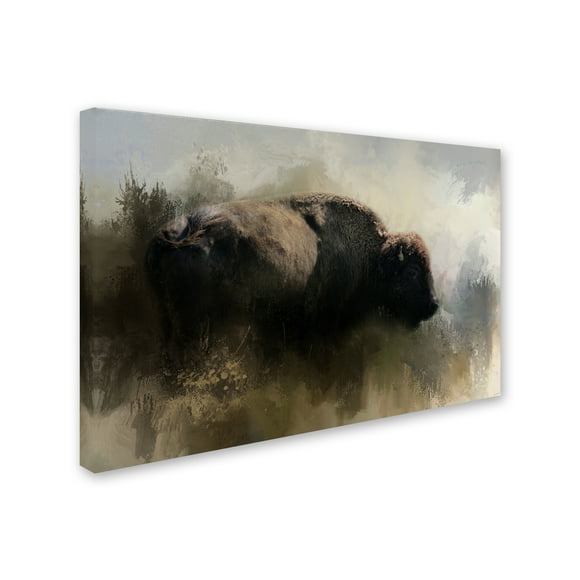 Jai Johnson 'Abstract American Bison' Canvas Art