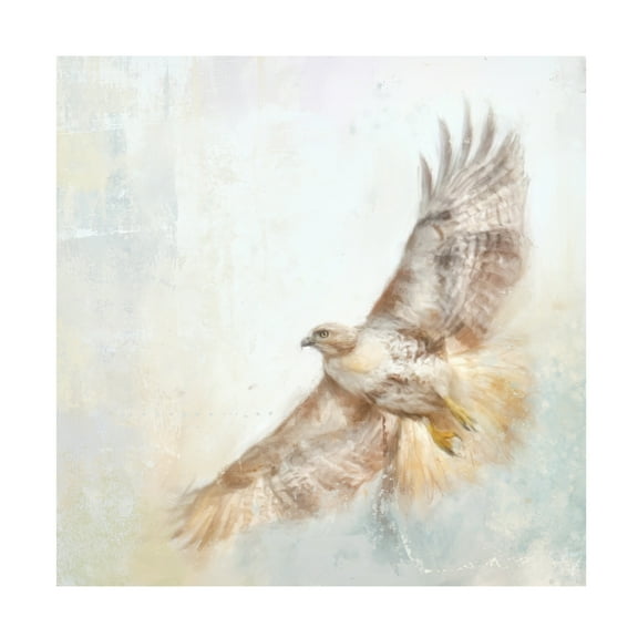 Trademark Fine Art Jai Johnson Angel Hawk Canvas Wall Art - 14x14
