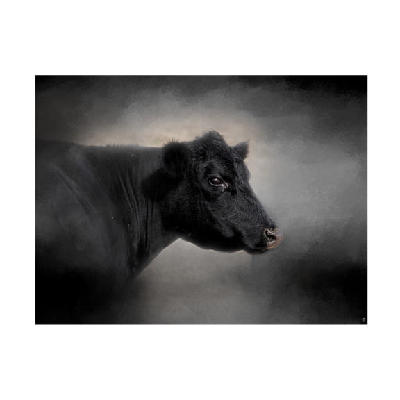 Trademark Fine Art Jai Johnson Portrait Of The Black Angus Canvas Wall Art - 35x47