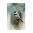 thumbnail image 1 of Trademark Fine Art Jai Johnson Winter Chickadee Canvas Wall Art - 16x24, 1 of 5