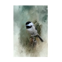 Trademark Fine Art Jai Johnson Winter Chickadee Canvas Wall Art - 16x24