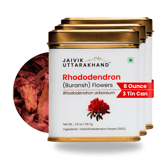 Jaivik Uttarakhand - Buransh Petals Tea (6 oz), Caffeine-Free, Rich in Antioxidant, Immunity Booster