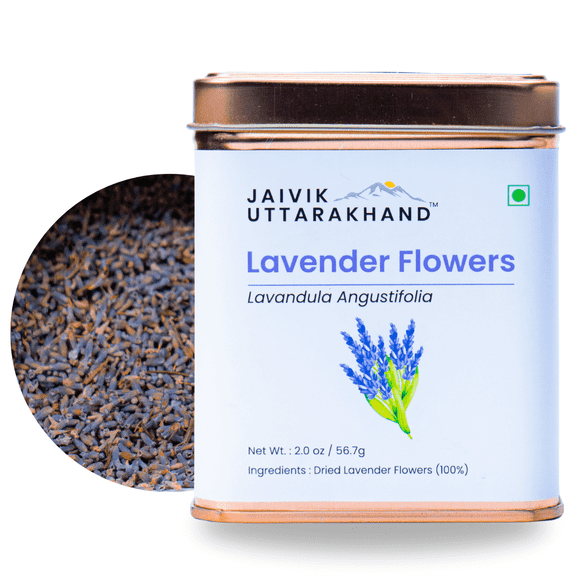 Jaivik Uttarakhand - Lavender Loose Tea (2 oz), Decaf Blue Lavandula Buds, Extra Grade, 1 Tin Can