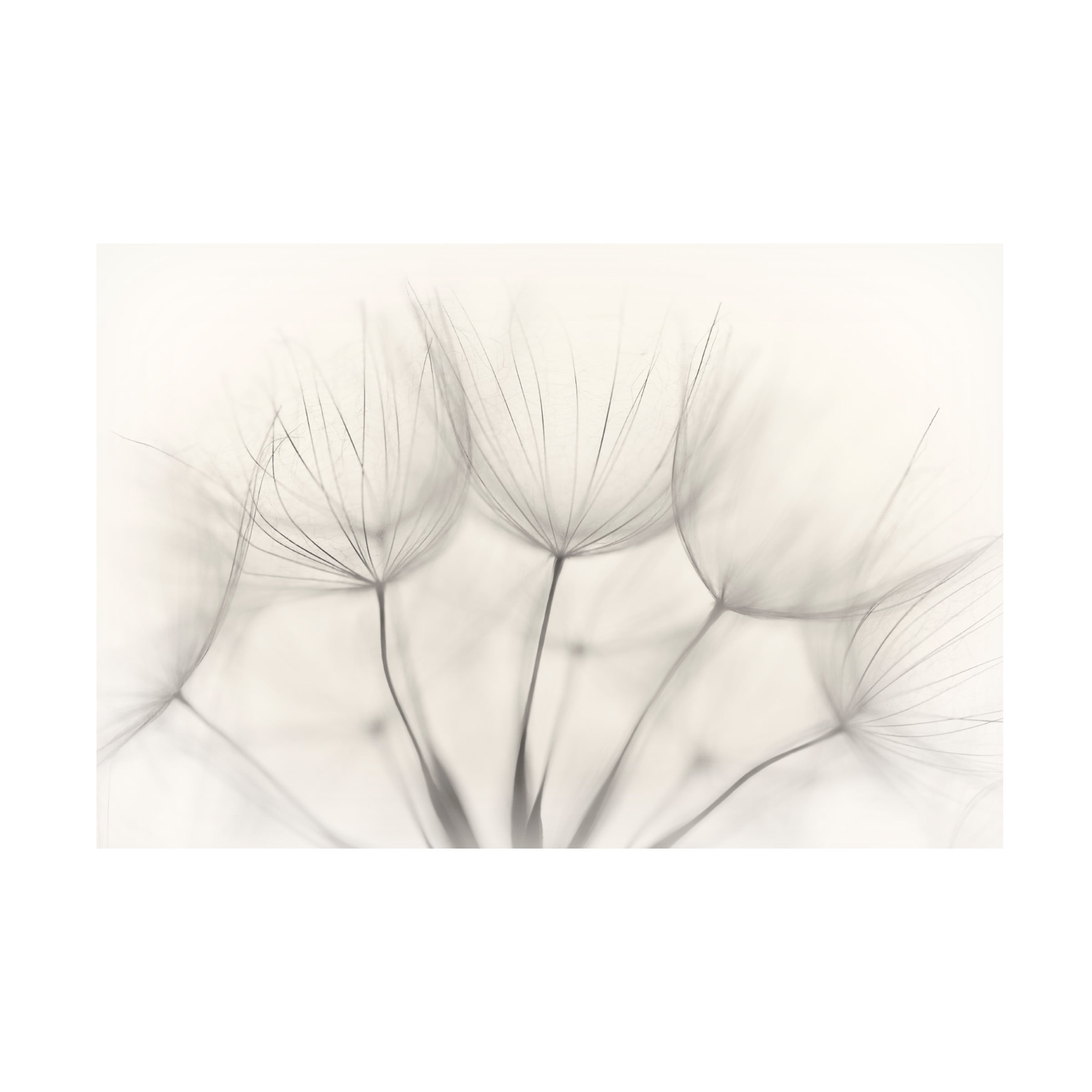 Trademark Fine Art Jakob Arnholtz Untitled Canvas Wall Art - 30x47