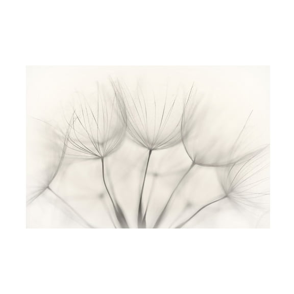 Trademark Fine Art Jakob Arnholtz Untitled Canvas Wall Art - 12x19