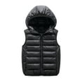 thumbnail image 1 of Jalioing Hooded Puffer Vest for Kids Full Zip Up Sleeveless Down Jacket Vest Winter Lightweight Thermal Coat, 1 of 7