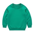 thumbnail image 1 of Jalioing Kids Basic Pullover Tops Long Sleeve Crew Neck Cotton Sweatshirts Solid Color Casual Fall Tops 1-13 Years, 1 of 3