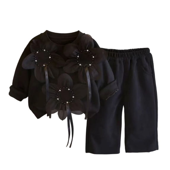 Jalioing Toddler Girls 2 Piece Outfits Casual Cute Crew Neck Tops and Wide Leg Pants Set Spring Fall Clothes 0-6 Years