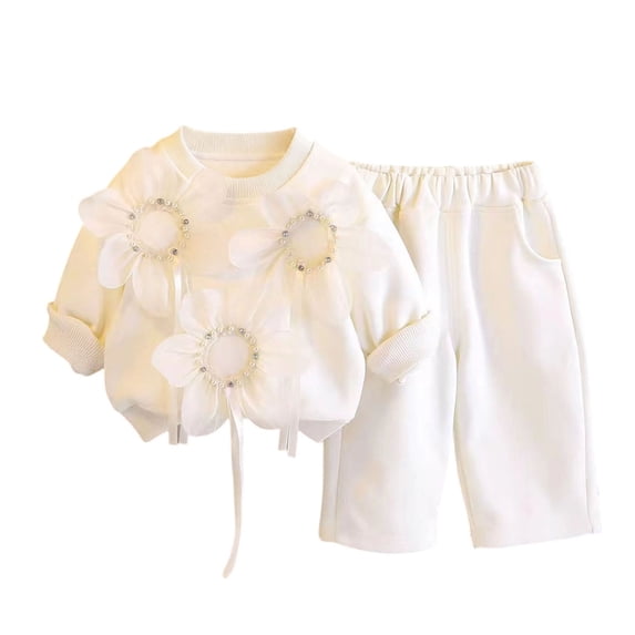 Jalioing Toddler Girls 2 Piece Outfits Casual Cute Crew Neck Tops and Wide Leg Pants Set Spring Fall Clothes 0-6 Years