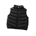 thumbnail image 1 of Jalioing Toddler Kids Puffer Vest Solid Color Zipper Up Stand Collar Sleeveless Puffy Coat Lightweight Thermal Outerwear, 1 of 7