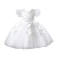 thumbnail image 1 of Jalioing Tulle Dress Princess Skirts for Child Girl Sleeveless Kids Girls Puffy Dresses Layered Mesh Skirt (3-4 Years, White), 1 of 5