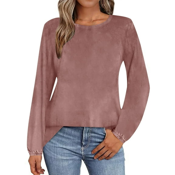 Jalioing Women's Velvet Shirts Casual Long Sleeve Crew Neck Tunic Blouses Solid Color Loose Fashion Velour Tops