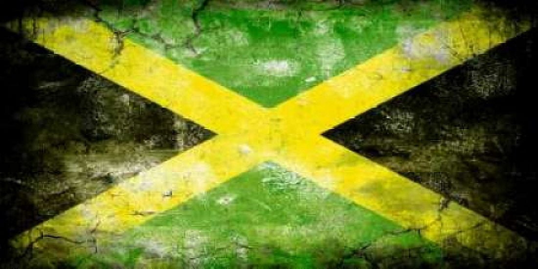 Jamaica 1 Canvas Art - John H Robins (10 x 20)