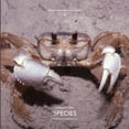 thumbnail image 1 of Jamaica Bay Pamphlet Library 02: Jamaica Bay Species (Paperback), 1 of 1