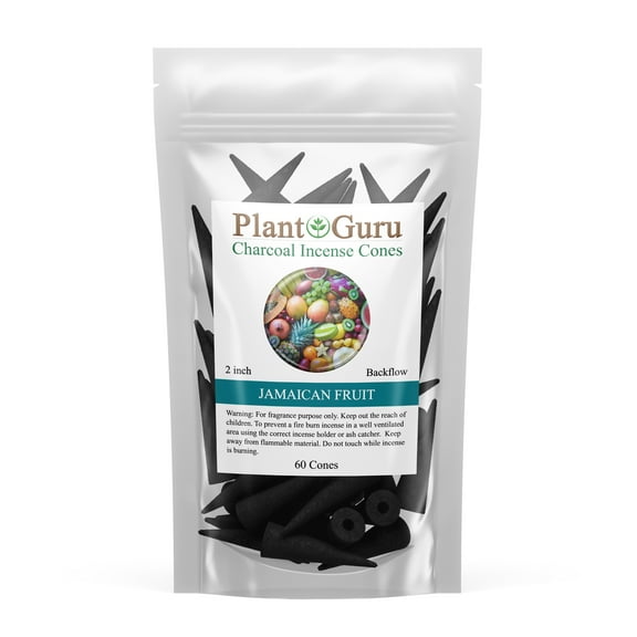 Jamaican Fruit Charcoal Incense Cones 2" BACKFLOW - 60 Pack - Natural Scented Cones Handmade Hand Dipped
