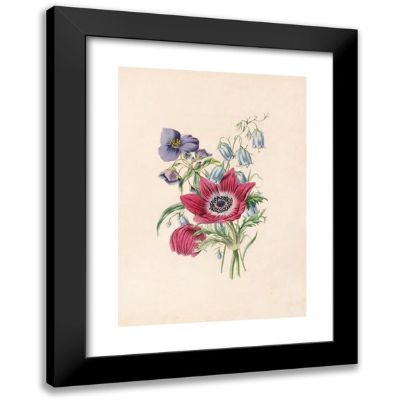 James Ackerman 11x14 Black Modern Framed Museum Art Print Titled - Anemone, Harebell, Spiderwort (1847)
