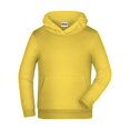 thumbnail image 1 of James And Nicholson Boys/Girls Basic Hoodie, 1 of 1