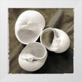 thumbnail image 1 of James, Andrea 12x12 White Modern Wood Framed Museum Art Print Titled - Equalized Shell Trio I, 1 of 4