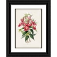 thumbnail image 1 of James Bateman 13x18 Black Ornate Wood Framed Double Matted Museum Art Print Titled - Sobralia Macrantha (1837-1843), 1 of 5
