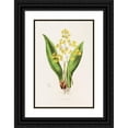 thumbnail image 1 of James Bateman 17x24 Black Ornate Framed Double Matted Museum Art Print Titled: Oncidium Cavendishianum (1837-1843), 1 of 5