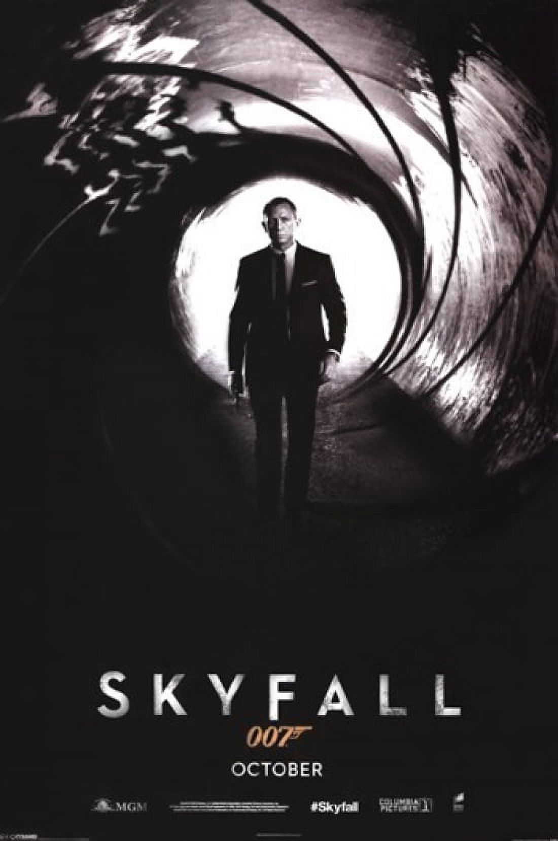 James Bond - Skyfall Teaser Poster (24 x 36) - image 1 of 1
