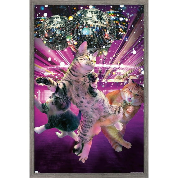 James Booker - Disco Cats Wall Poster, 14.725" x 22.375" Framed