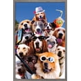 thumbnail image 1 of James Booker - Dog Selfie Wall Poster, 22.375" x 34", Framed, 1 of 3