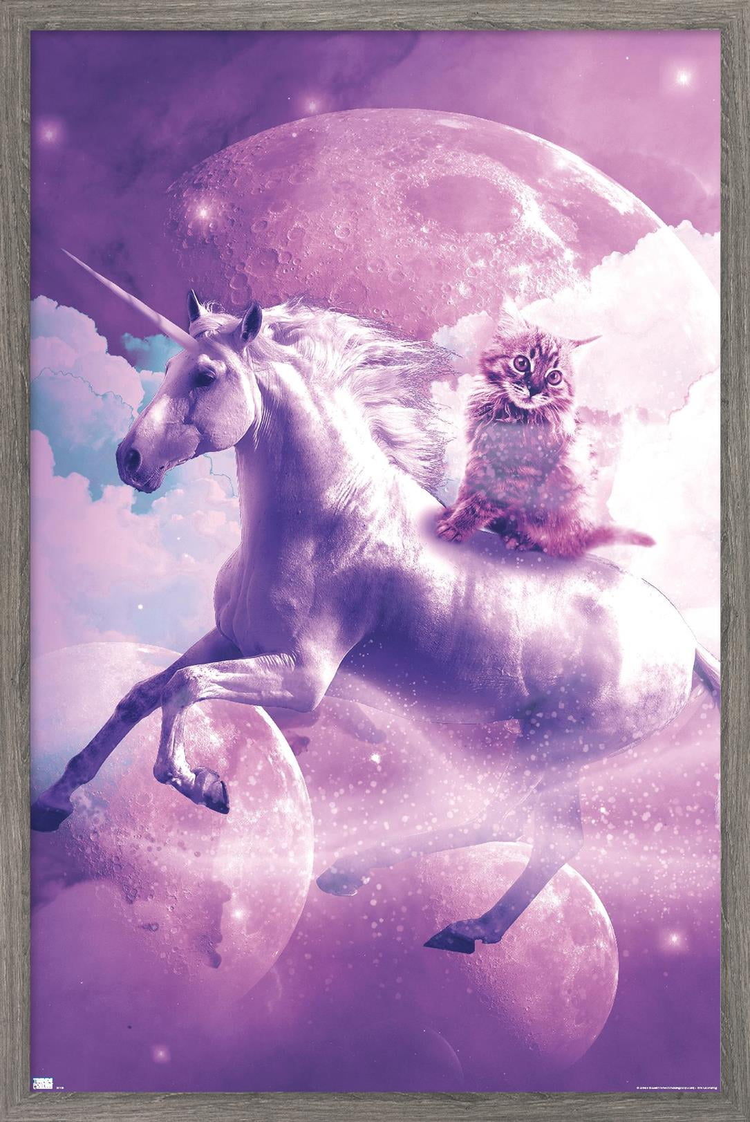 James Booker - Kitty Cat Riding On Space Galaxy Unicorn Wall Poster, 22.375" x 34" Framed
