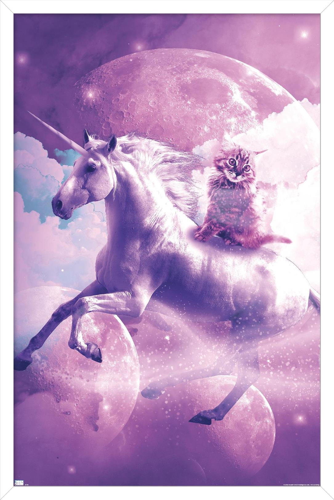 James Booker - Kitty Cat Riding On Space Galaxy Unicorn Wall