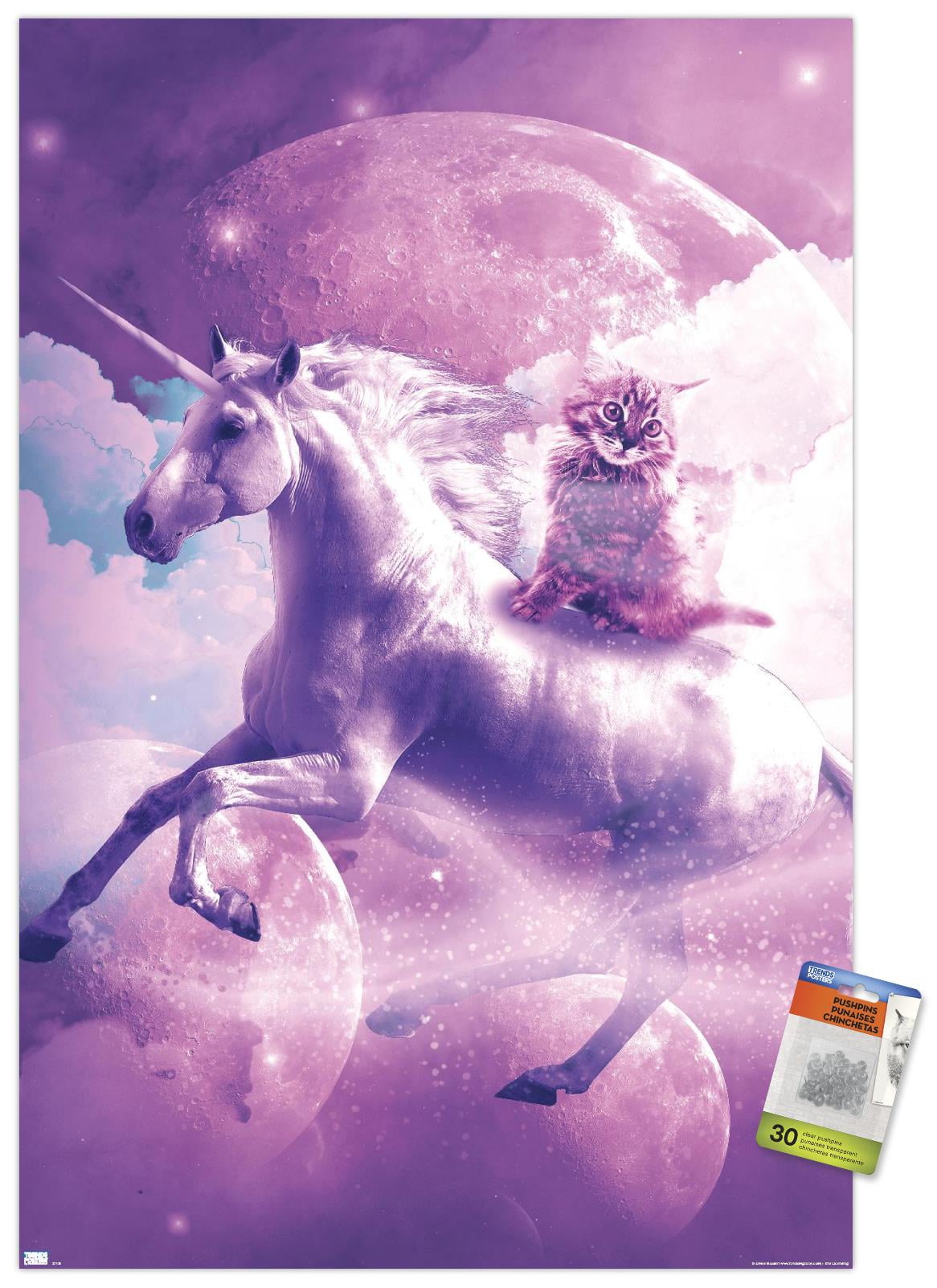 James-Booker-Kitty-Cat-Riding-