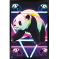 thumbnail image 1 of James Booker - Panda Rave Wall Poster, 14.725" x 22.375", Framed, 1 of 3
