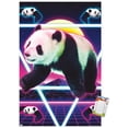 thumbnail image 1 of James Booker - Panda Rave Wall Poster, 14.725" x 22.375", 1 of 3