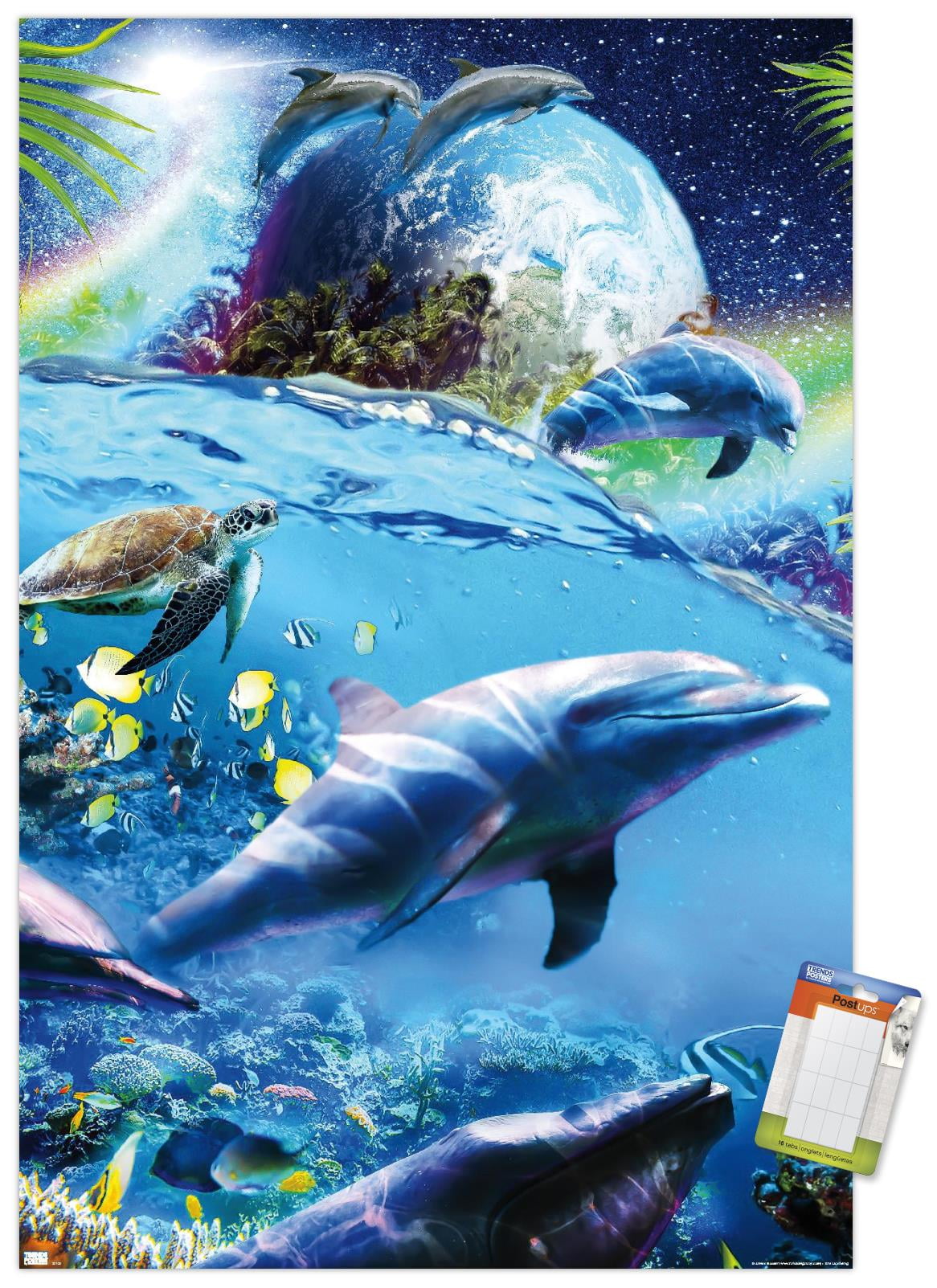 James-Booker-Space-Dolphins-