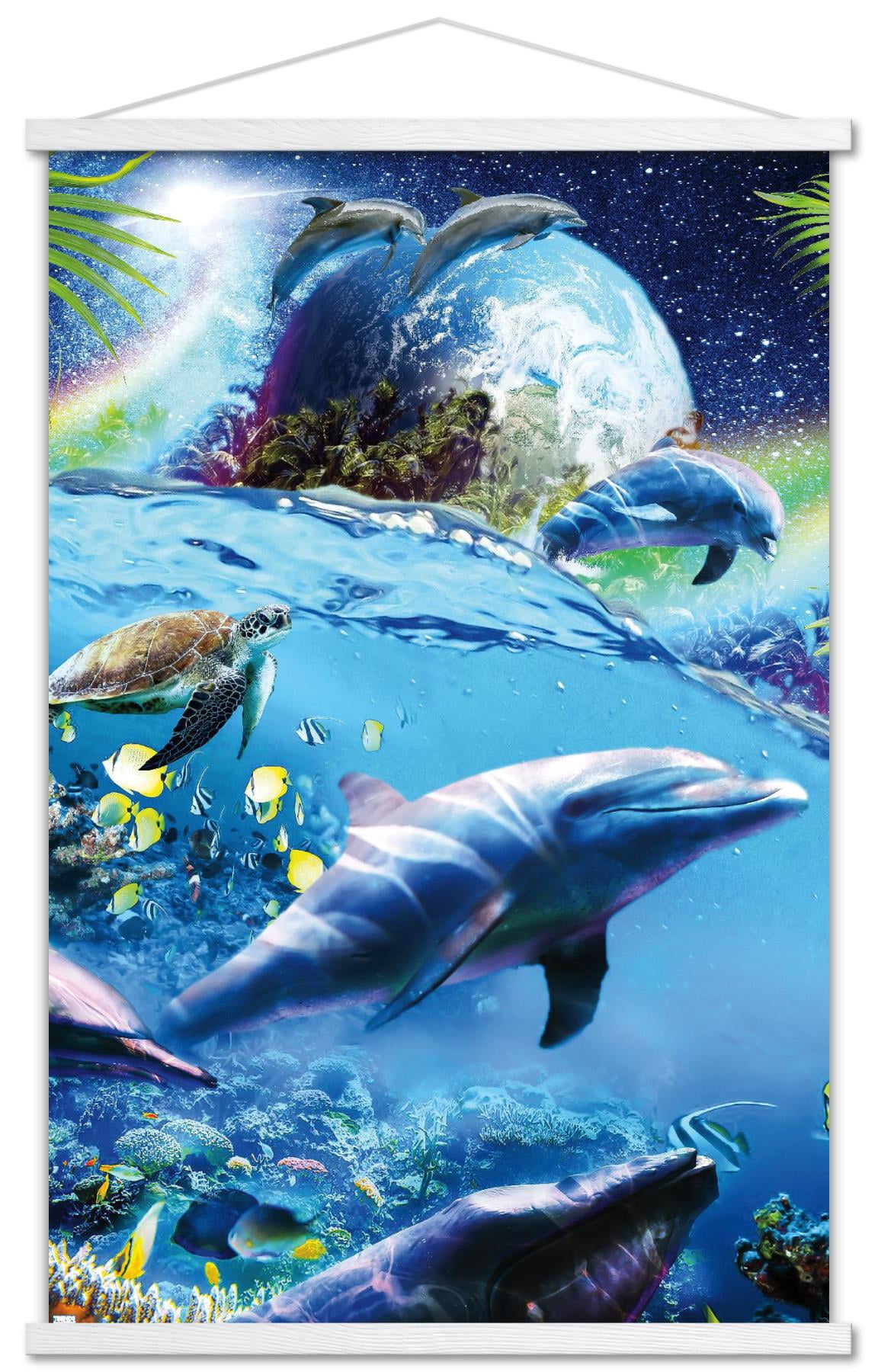 James Booker - Space Dolphins Wall Poster with Magnetic Frame, 22.375" x 34"