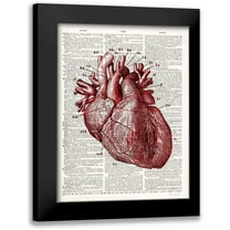 James, Christopher 12x14 Black Modern Framed Museum Art Print Titled - Vintage Anatomy Heart