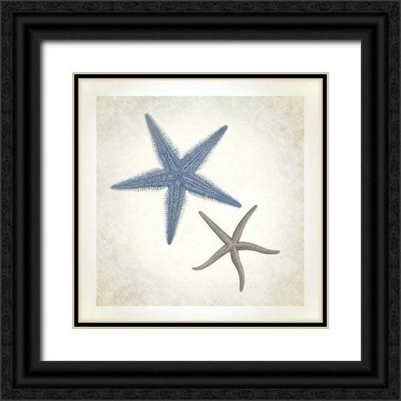 James, Christopher 15x15 Black Ornate Wood Framed with Double Matting Museum Art Print Titled - Sea Life, Starfish