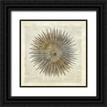 thumbnail image 1 of James, Christopher 26x26 Black Ornate Wood Framed with Double Matting Museum Art Print Titled - Sea Urchin Pages, 1 of 4