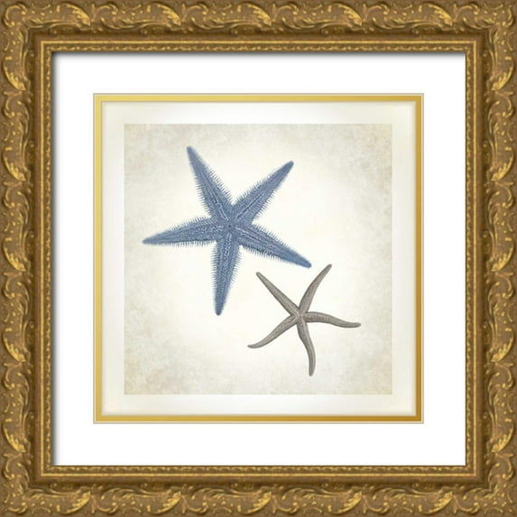 James, Christopher 26x26 Gold Ornate Wood Framed with Double Matting Museum Art Print Titled - Sea Life, Starfish