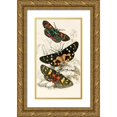 thumbnail image 1 of James Duncan 10x14 Gold Ornate Wood Frame and Double Matted Museum Art Print Titled - Agarista Picta, Eusemia Lectrix, Eusemia Maculatrix (1833), 1 of 4