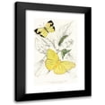 thumbnail image 1 of James Duncan 13x18 Black Modern Framed Museum Art Print Titled - Callidryas Eubule, Teria Mexicana (1858), 1 of 5