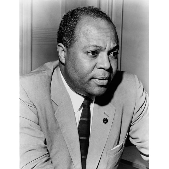 James Farmer (1920-1999) History (18 x 24)
