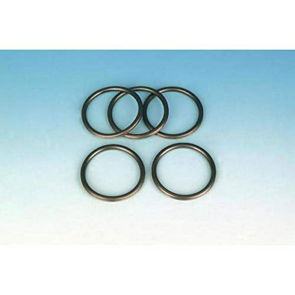 James Fuel Cap/Gauge O-Ring 10 Pack (JGI-61192-88)