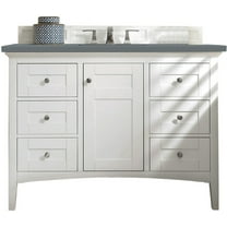 James Martin Vanities 527-V48-3Cbl Palisades 48" Free Standing Single Basin Hardwood